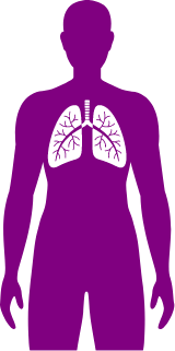 Occupational lung disorders